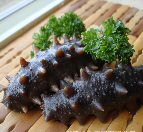 霞浦海参 - 广西乐享互娱网络科技有限公司